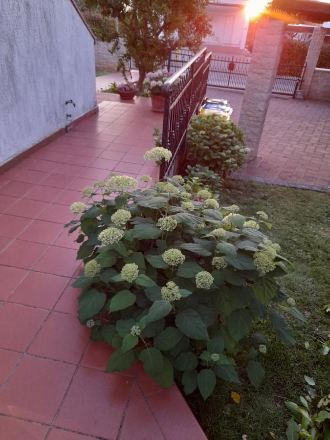 Villa Iva Poreč Exterior foto