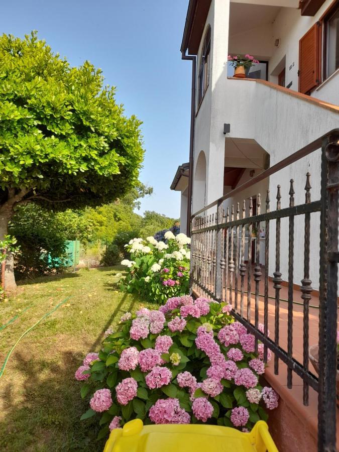 Villa Iva Poreč Exterior foto